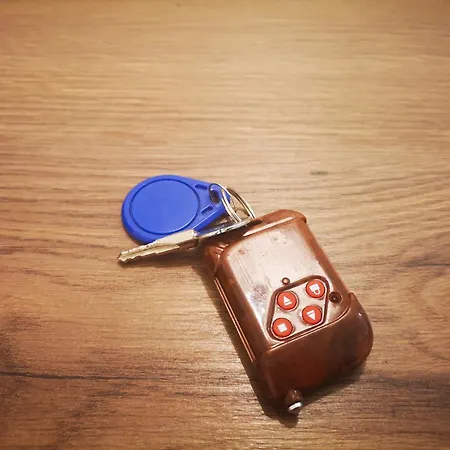 Filinhome Papa 2 Novi Sad